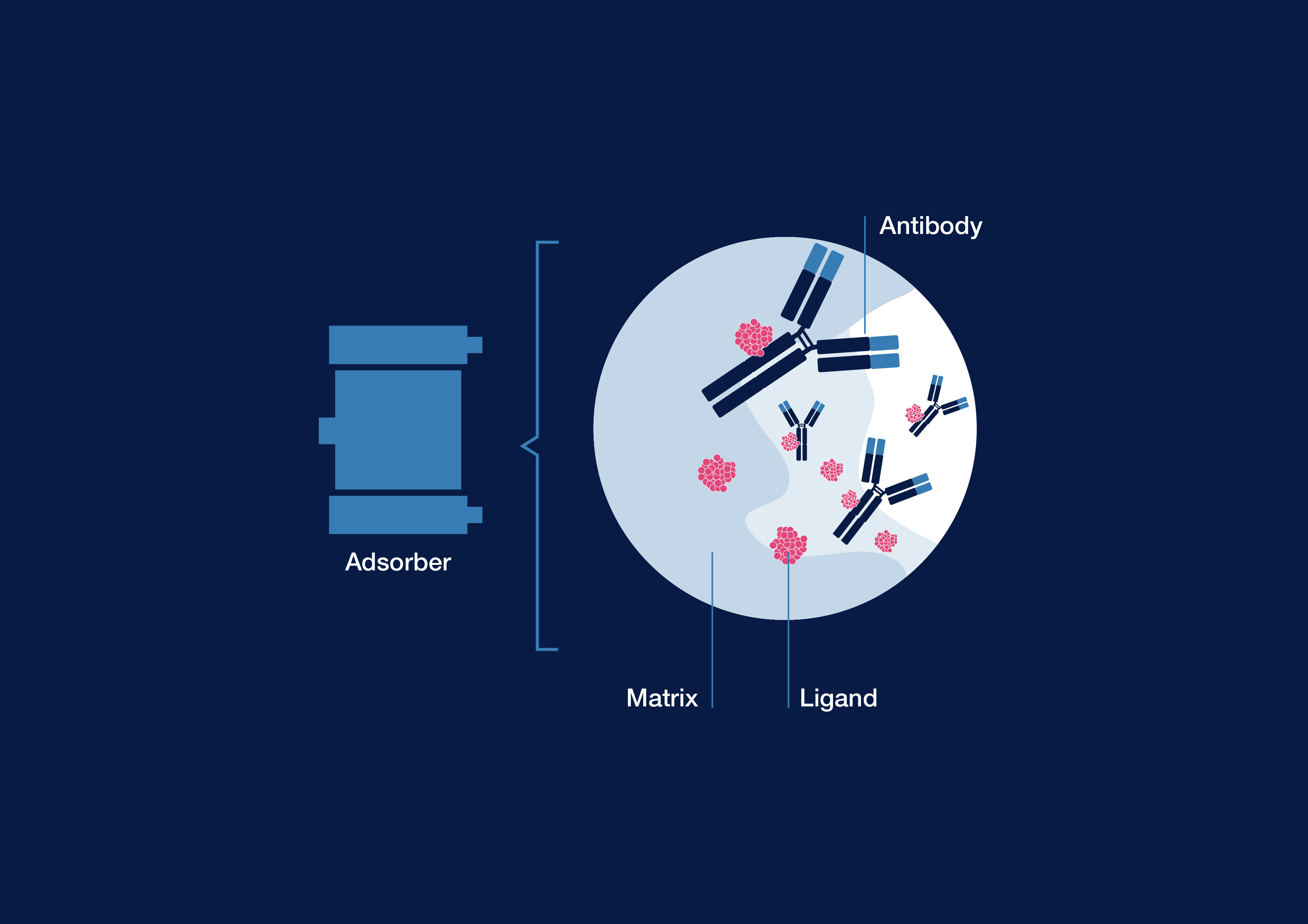 Immunadsorption